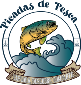 logo PWA